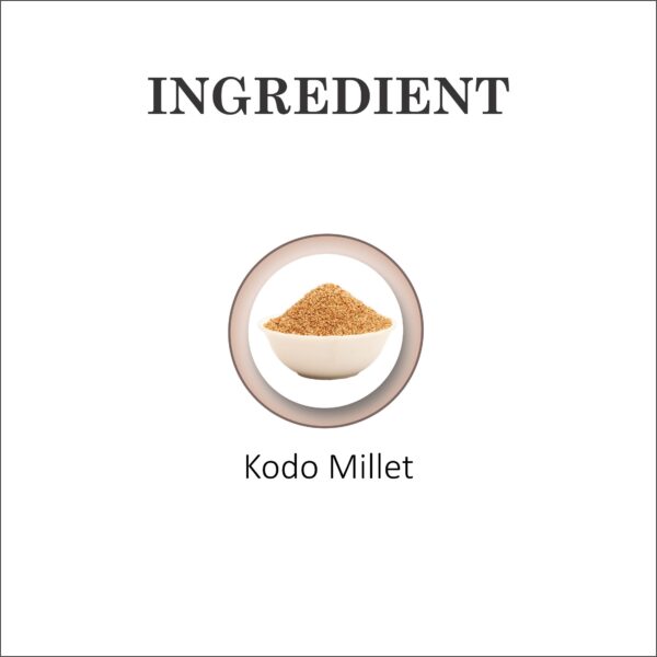 Kodo Millet | Varagu | Kodon - Image 6