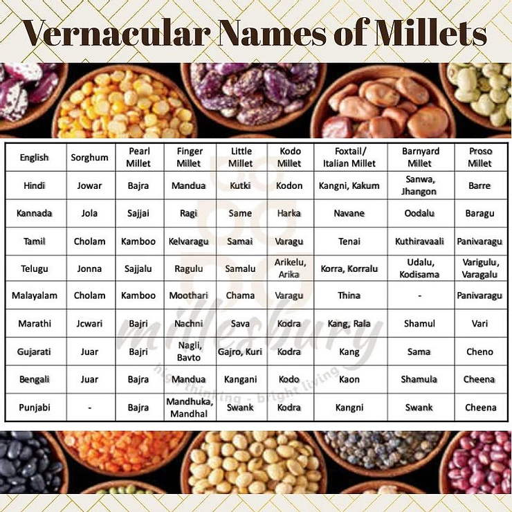 Vernacular Names of Millets - Millesbury